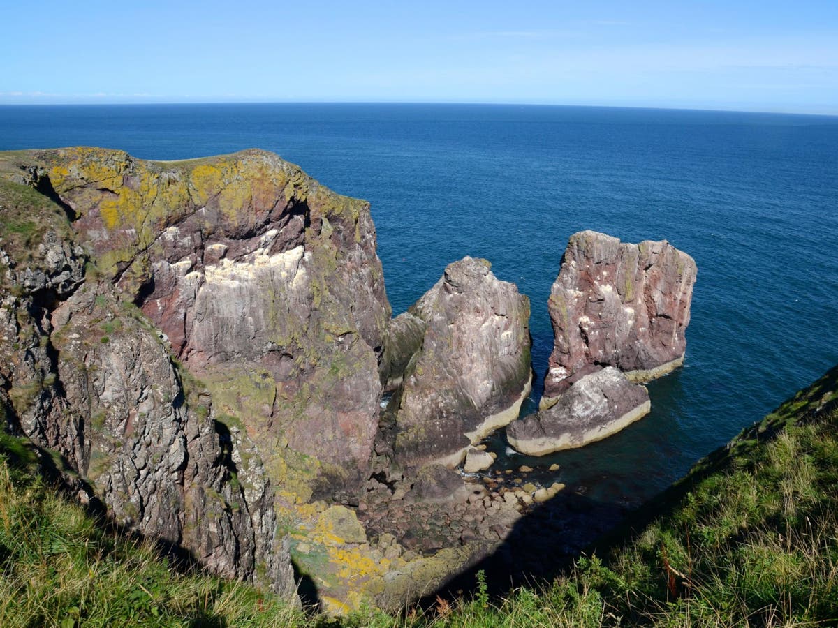 Man rescued after escaping 'aggressive' colony of seals