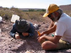 Scientists discover new species of dinosaur in Argentina