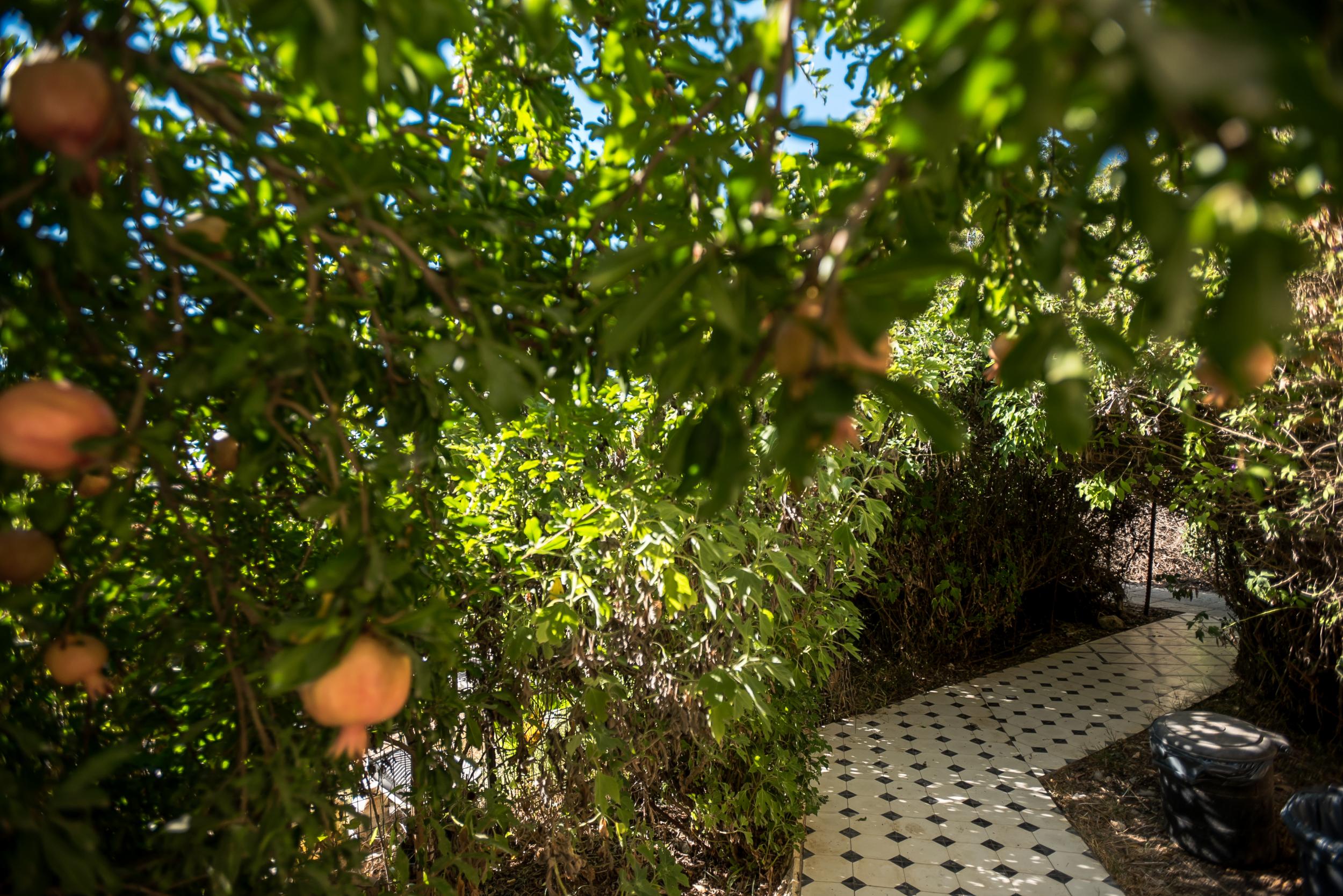 A tour gives visitors the opportunity to explore several of the smaller wineries