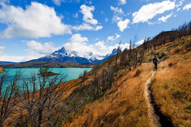 Explore Chile's new Patagonian Route of Parks
