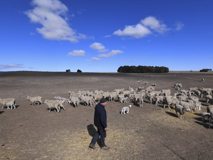 Only the most drought-prone farms in Australia take out cover