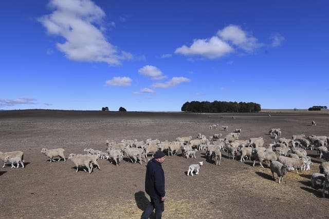 Only the most drought-prone farms in Australia take out cover