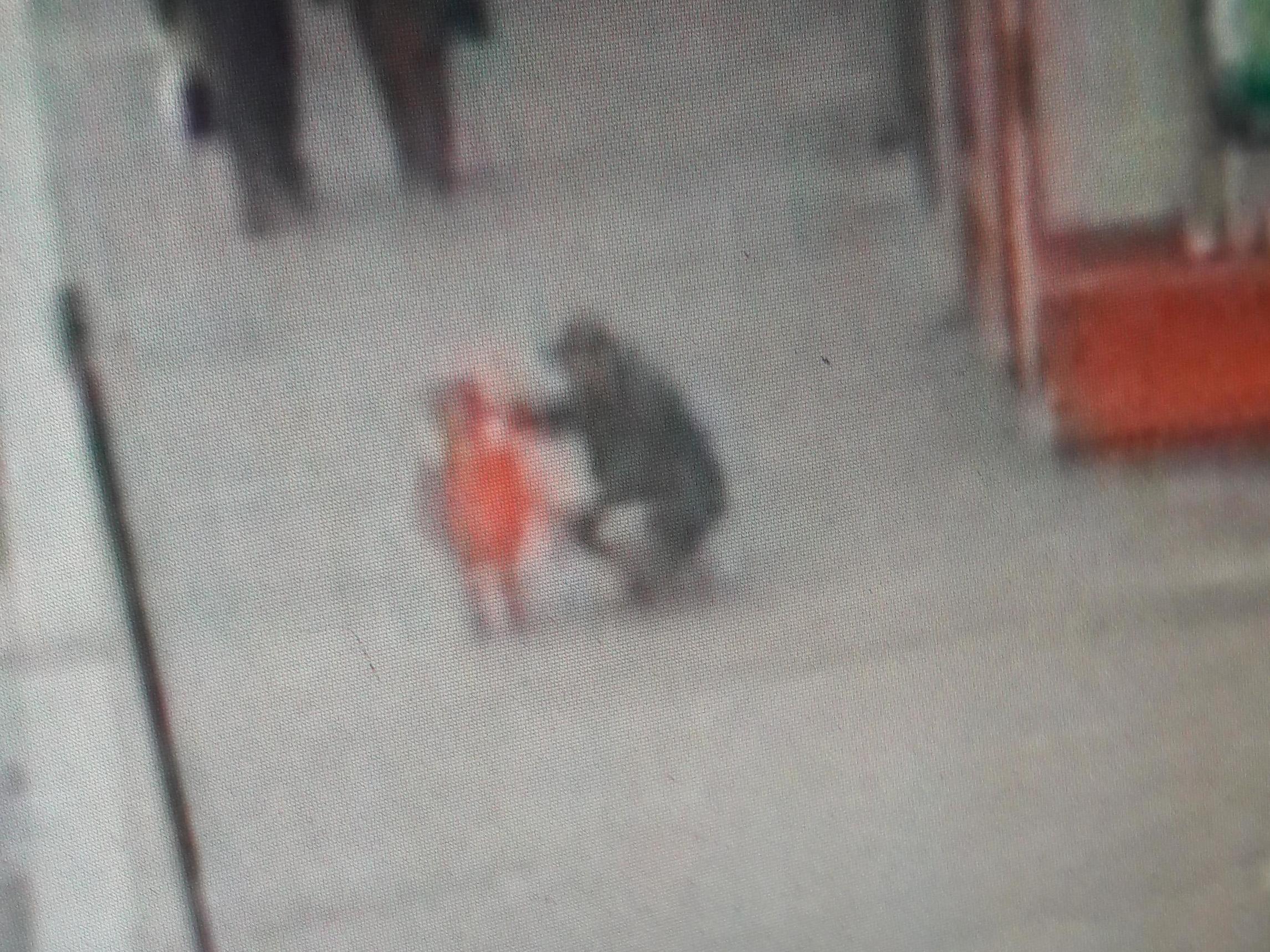 Police have released CCTV of a man and a girl after a report of "a possible child abduction"