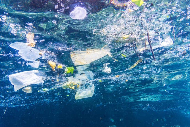 The conversation surrounding single-use plastics is on the rise 