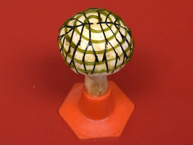 An electrode network (branched pattern) and cyanobacteria (spiral pattern) were 3D printed on a mushroom to produce bio-electricity