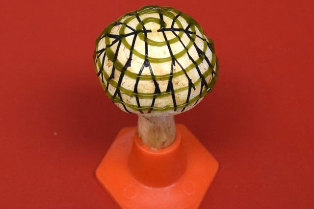 An electrode network (branched pattern) and cyanobacteria (spiral pattern) were 3D printed on a mushroom to produce bio-electricity