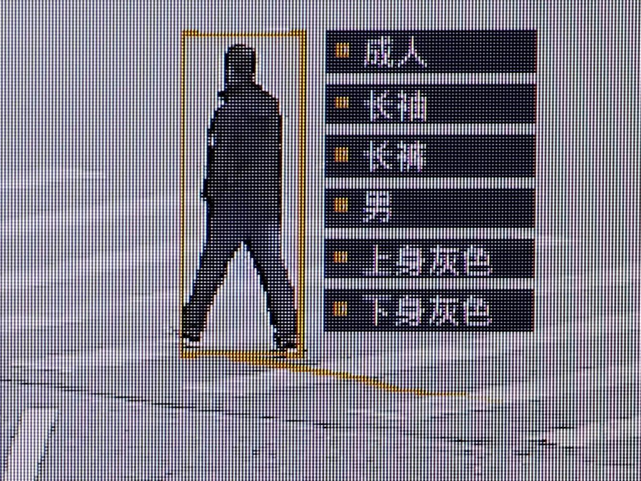 Surveillance systems in China have become highly advanced in recent years