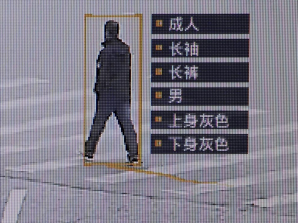 China rolls out surveillance system to identify people by their body