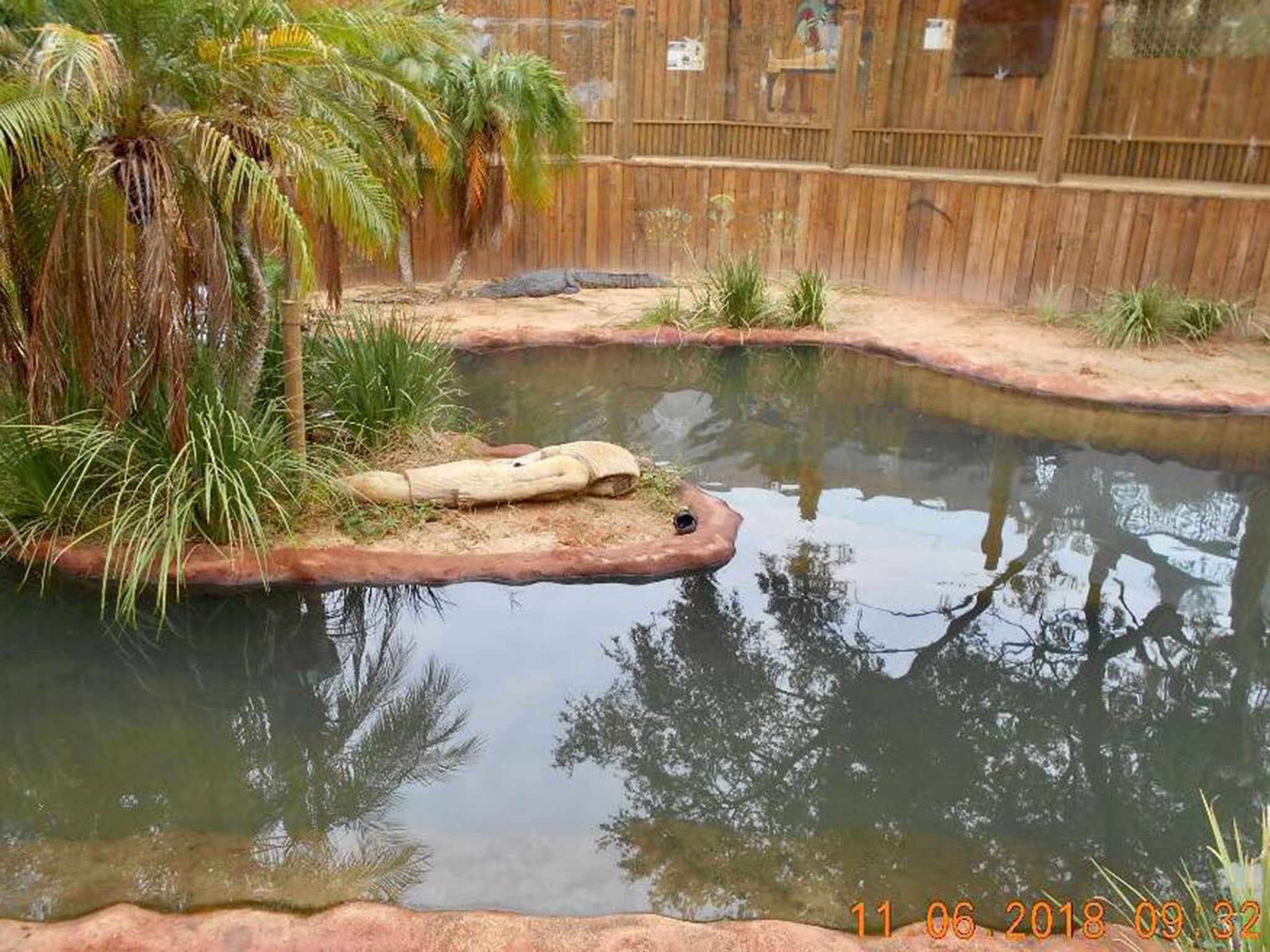 Police officers found the Crocs in the crocodile enclosure