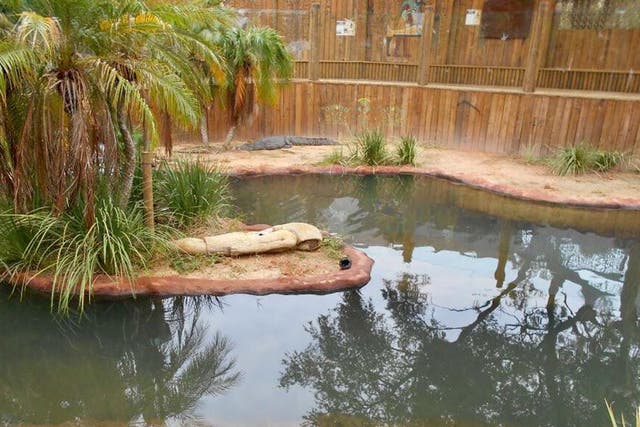 Police officers found the Crocs in the crocodile enclosure
