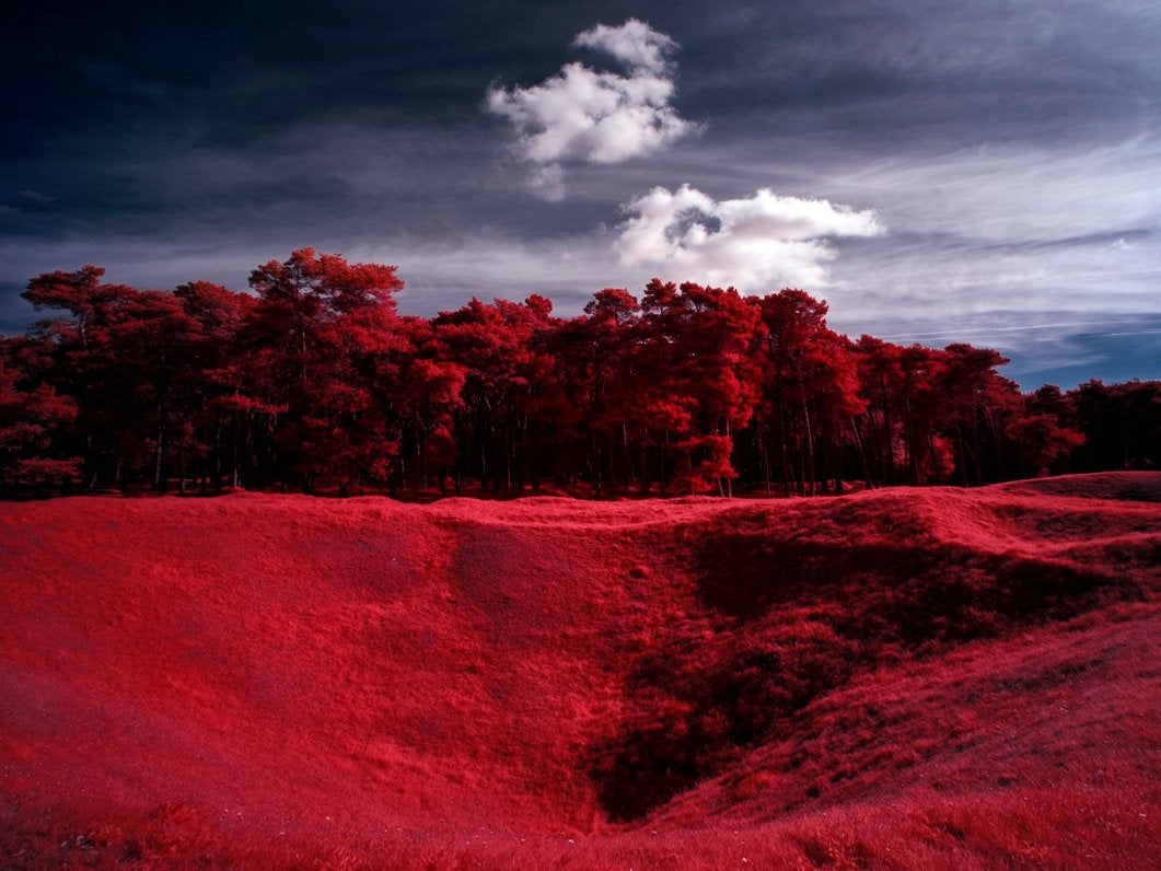 Vimy Ridge crater