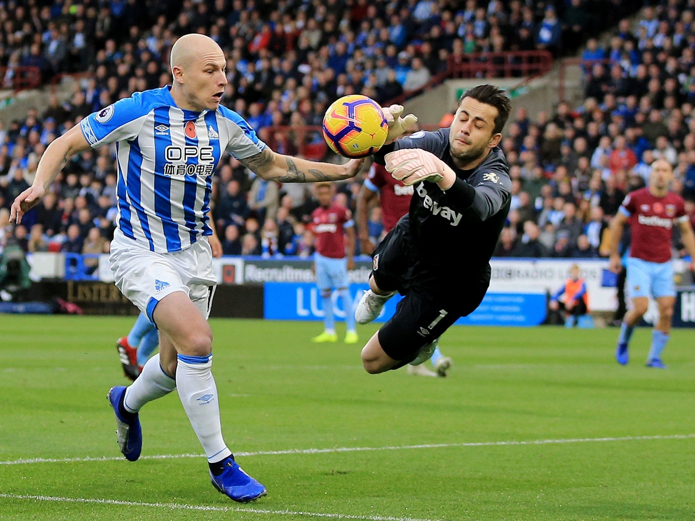 Aaron Mooy challenges Lukasz Fabianski for the ball