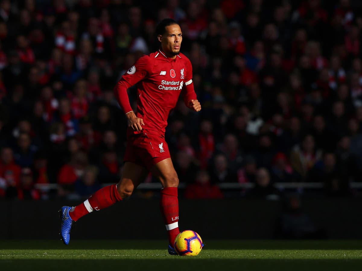Virgil van Dijk in high spirits after once again proving his worth to