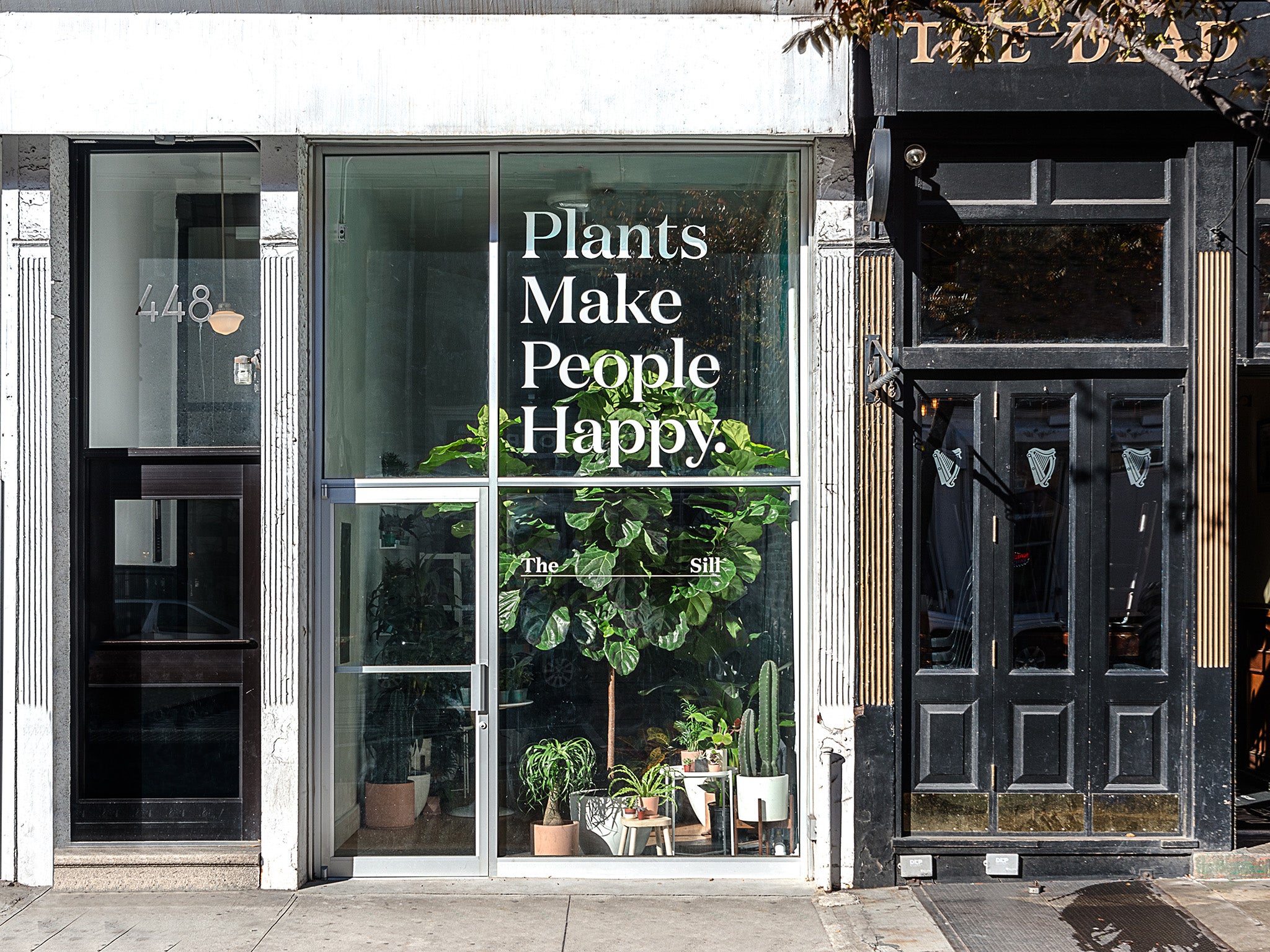 The Sill is not simply a cheeky, curated plant boutique...