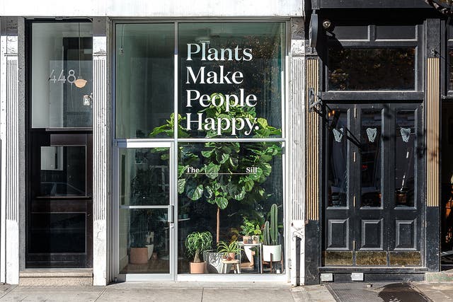 Millennials are 88 per cent more likely to keep plants in their rooms than over 65 year-olds