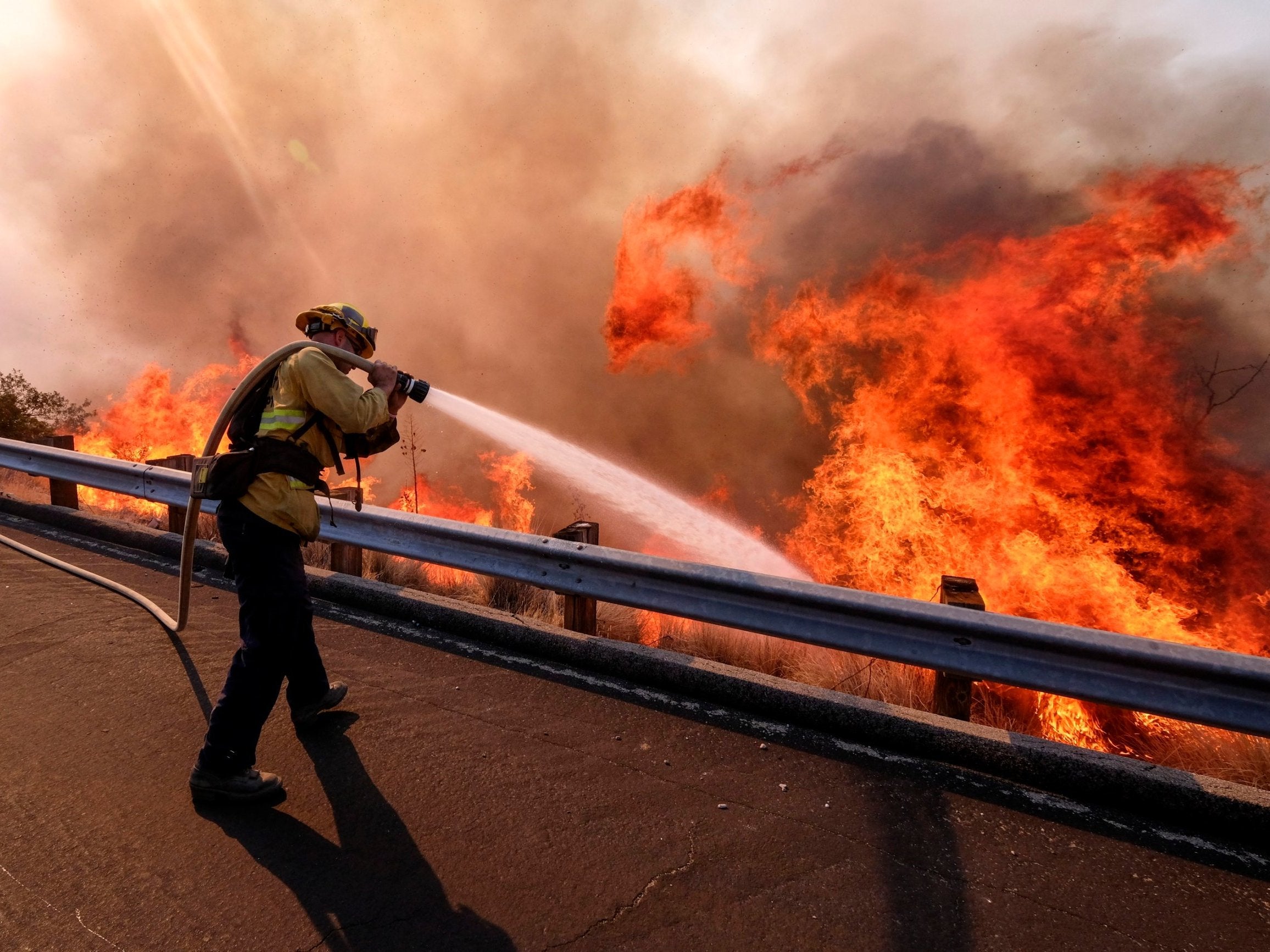 Image result for california wildfires