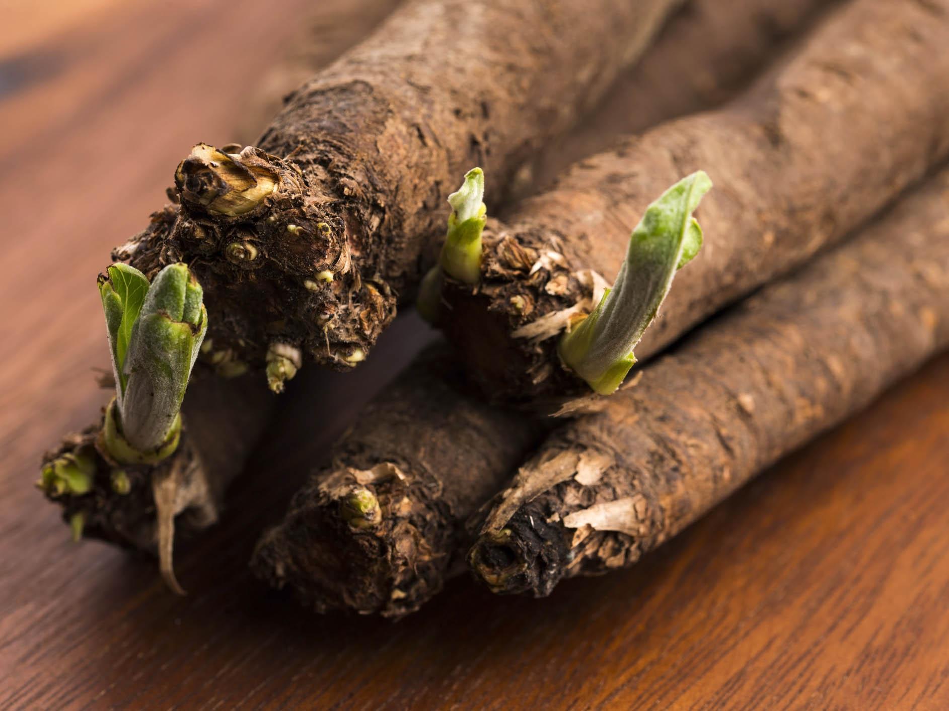 Salsify is tipped to be the hot new root veg on the scene