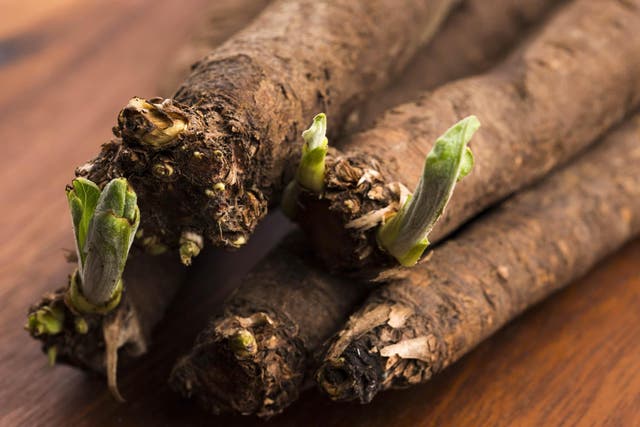 Salsify is tipped to be the hot new root veg on the scene