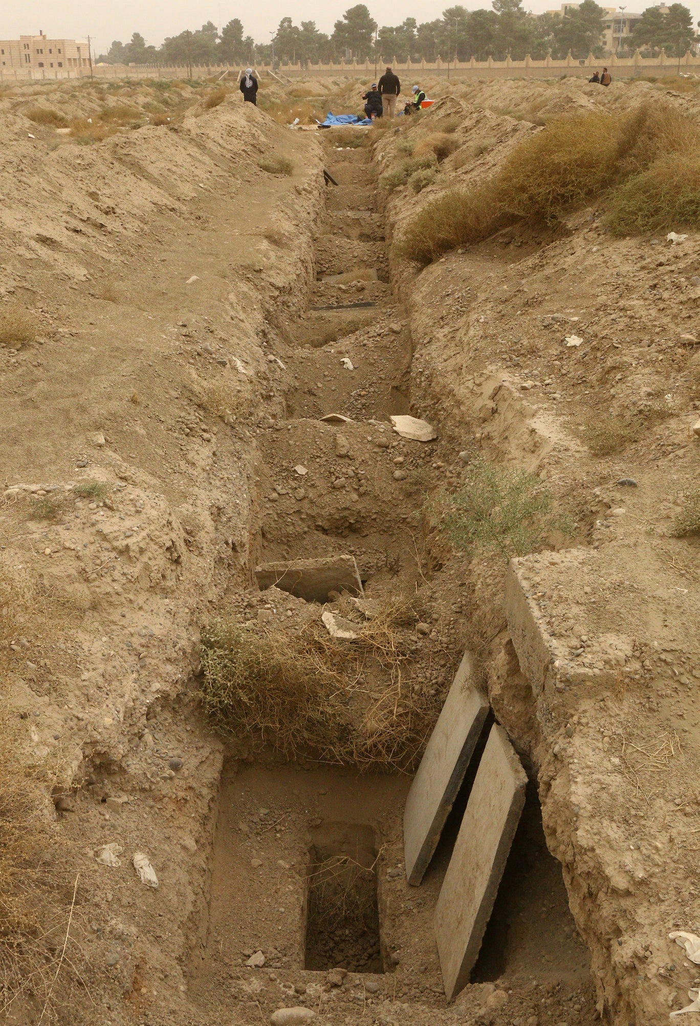 مأساةٌ جديدة في الرقة.. مقبرة لأجنة الأطفال تروي أبشع القصص