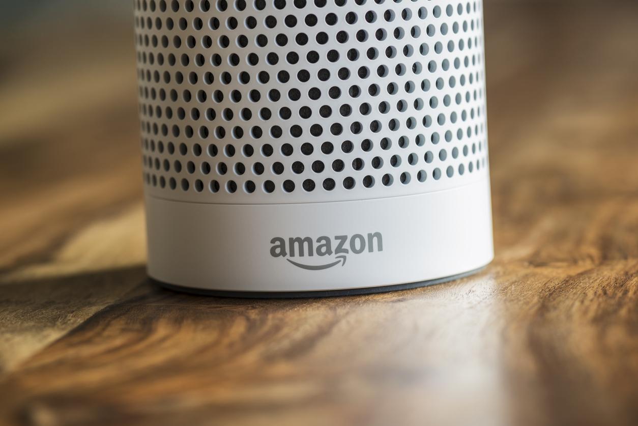 amazon voice controlled speaker crossword