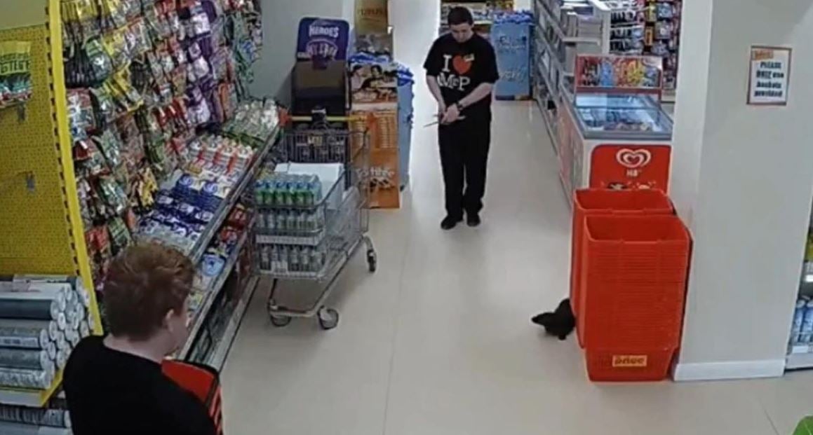 An otter was caught on camera running around the aisles of an Irish supermarket.
