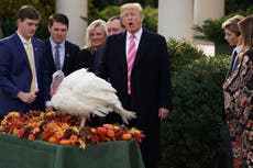 Why do presidents pardon a turkey on Thanksgiving?
