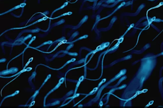 Climate change could lead to lower sperm count in men, study shows