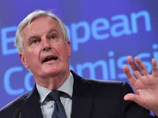 Brexit trade deal ‘not finished’ and could still change, Barnier warns