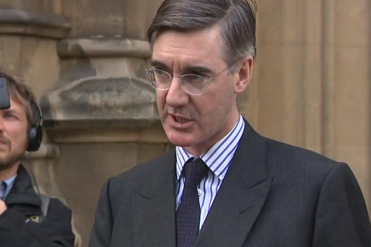 Jacob Rees-Mogg promotes video of German far-right leader from AfD ...