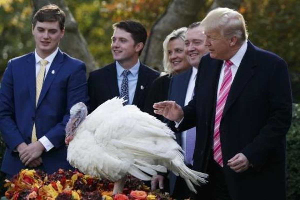 Thanksgiving Why Some Americans Don T Celebrate The Controversial Holiday The Independent