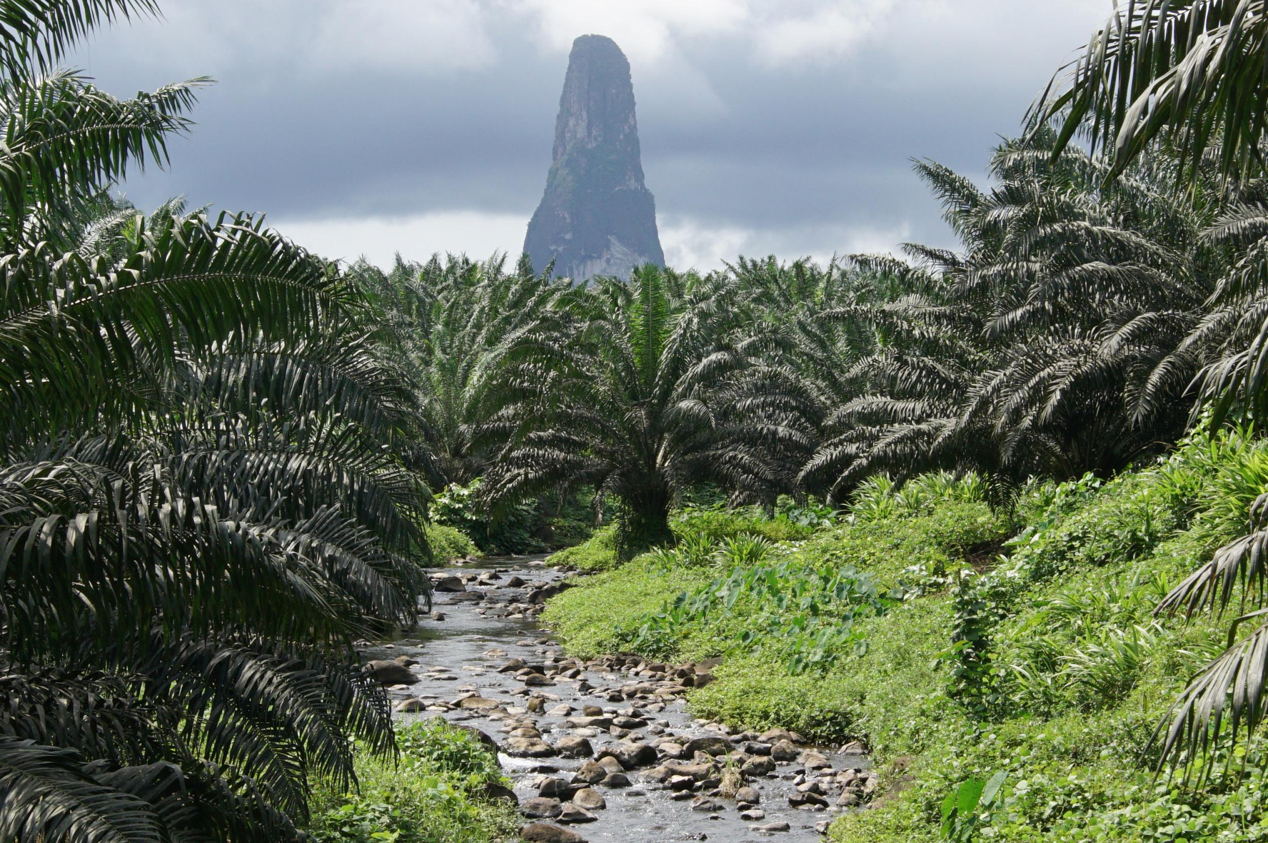 Summit of Pico Cão Grande