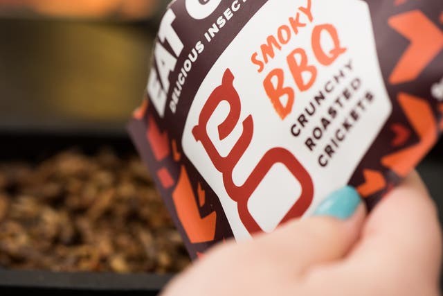 Crickets are the new 'new sustainable protein source' in Sainsbury's