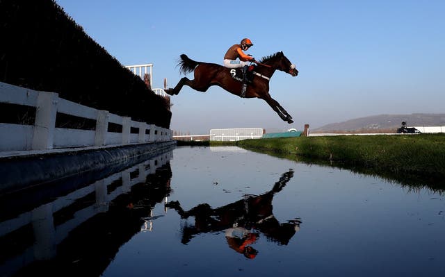 Theatre Territory ridden by Sam Waley-Cohen in the mallardjewellers.com Novices' Chase during day two of the November Meeting at Cheltenham Racecourse