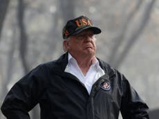 Trump is wrong – poor forest management plays minor role in wildfires