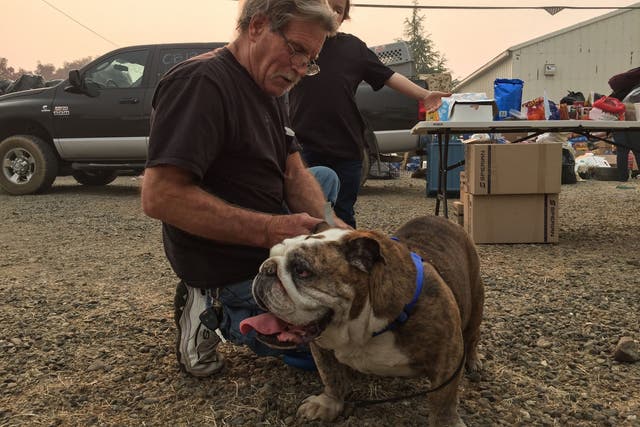 Steve Cox pets Ernie, his 10-year-old English bulldog, before handing him over to a shelter in Chico on 16 November 2018