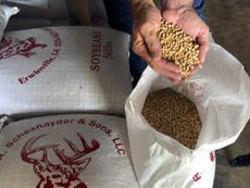 US soybean exports to China down 94% because of Trump tariffs