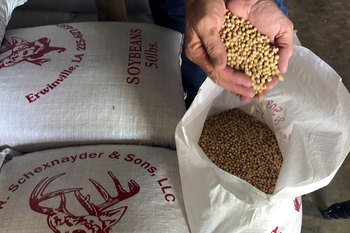 Trump tariffs: Who will be hardest hit by China-US trade war? 