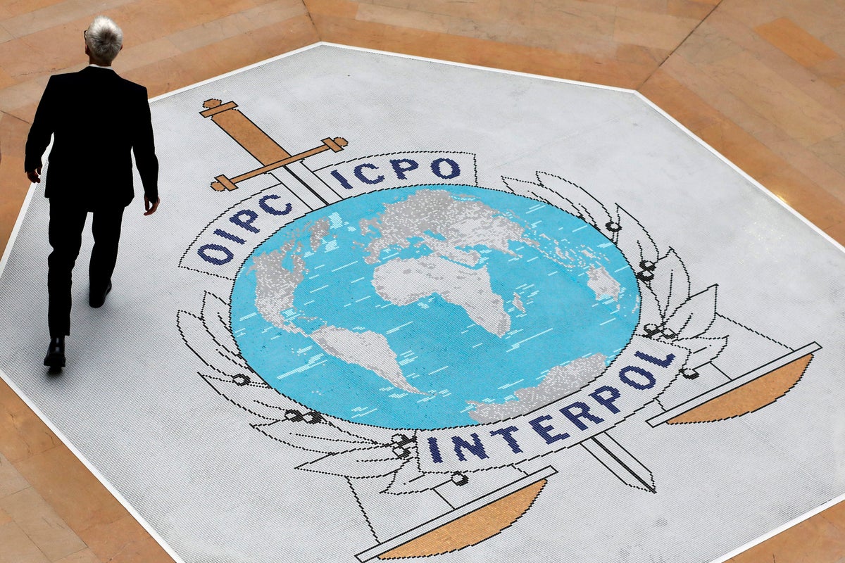 Interpol's new chief set to be Russian: 'Putin will attempt his most ...