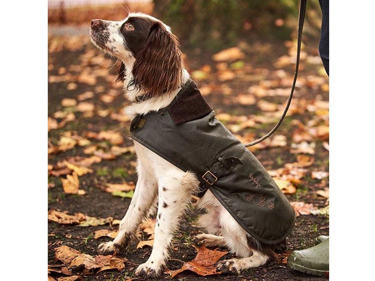 waterproof dog coats barbour