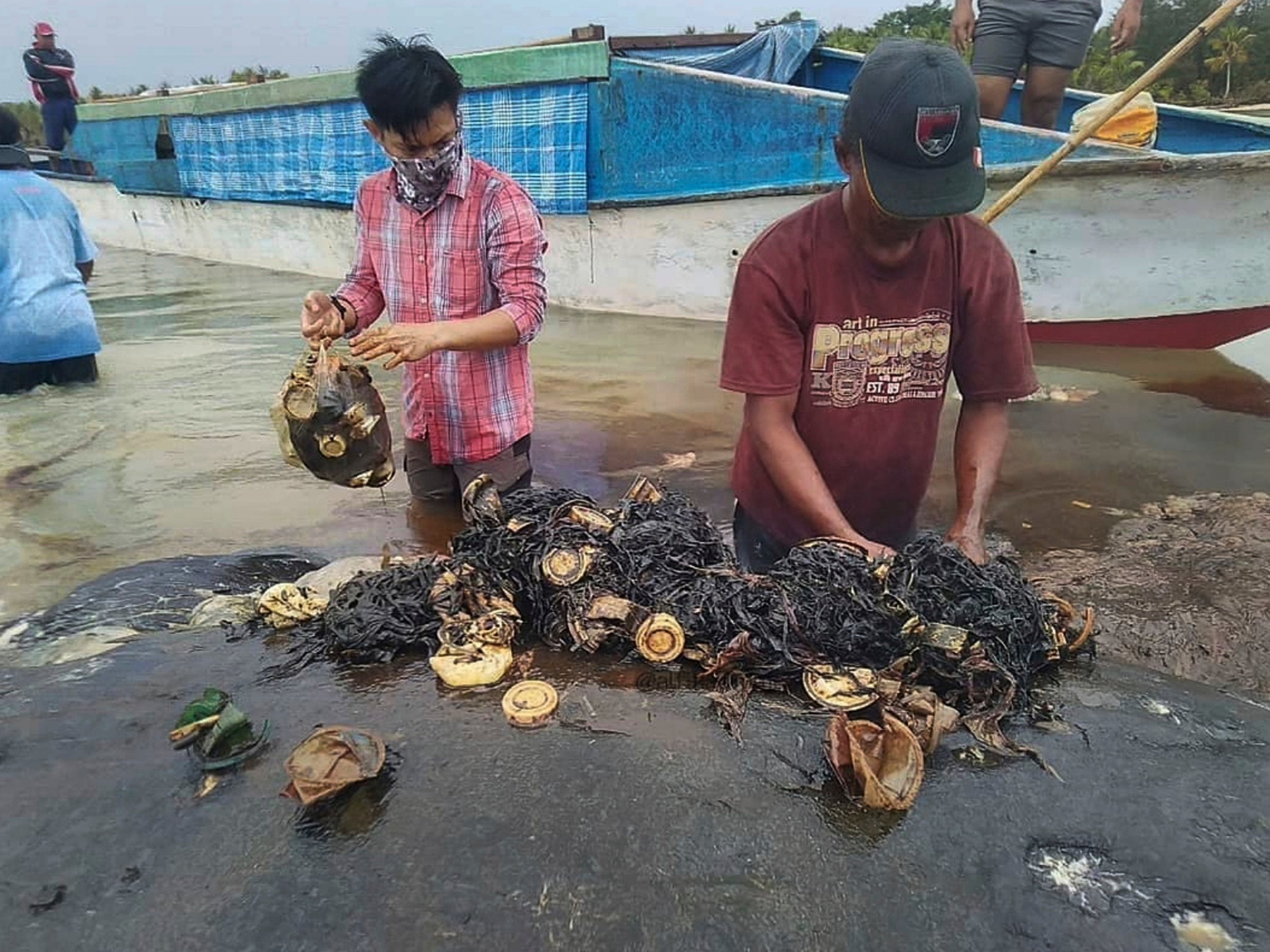 Researchers remove plastic from the stomach of the beached whale (AP)