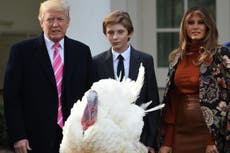 Where do the turkeys pardoned by the president go?