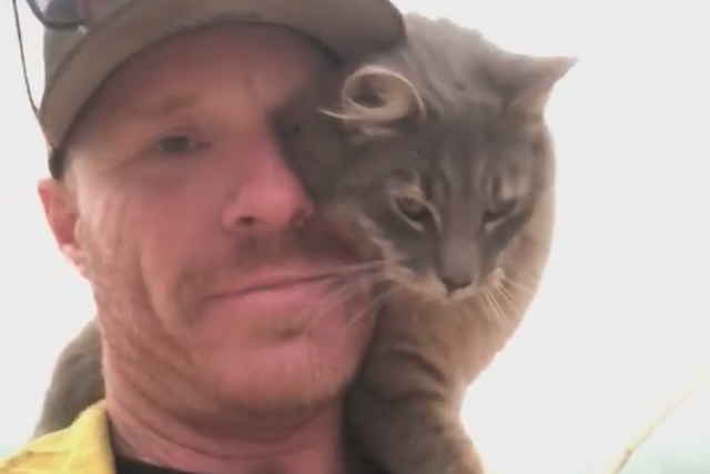 The cat cuddled up to the firefighter that saved her (Facebook)