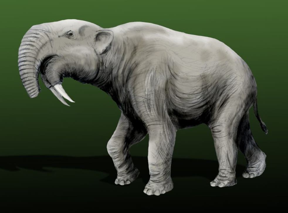 Deinotherium - a relative of the modern elephant - became extinct about one million years ago