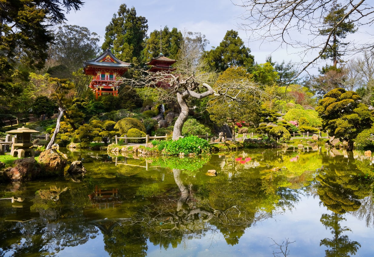 Wander the Japanese Tea Garden in Golden Gate Park
