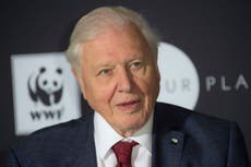 David Attenborough says Trump is ‘blind’ to threat of climate change