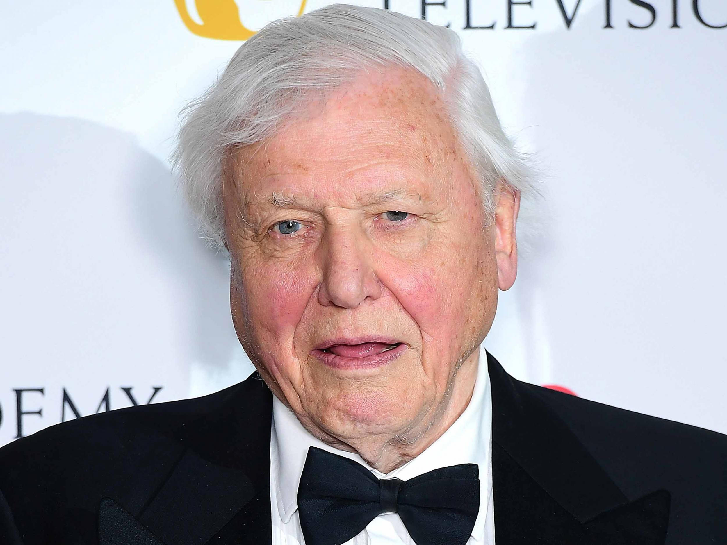 Sir David Attenborough has revealed he ‘cries more easily nowadays’ as he discussed the emotional reaction to his latest wildlife programme (Ia