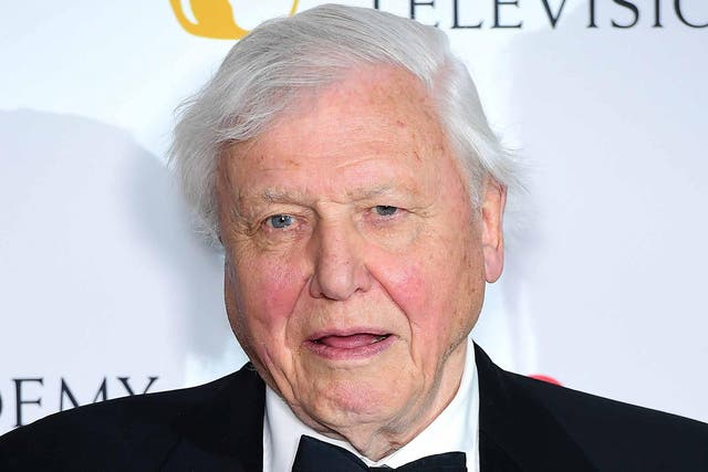 Sir David Attenborough has revealed he ‘cries more easily nowadays’ as he discussed the emotional reaction to his latest wildlife programme (Ia