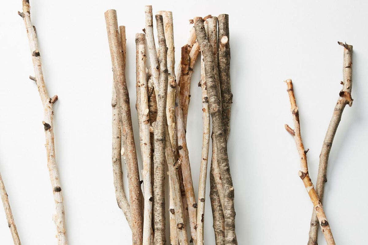 Anthropologie ridiculed for selling £40 bundle of twigs