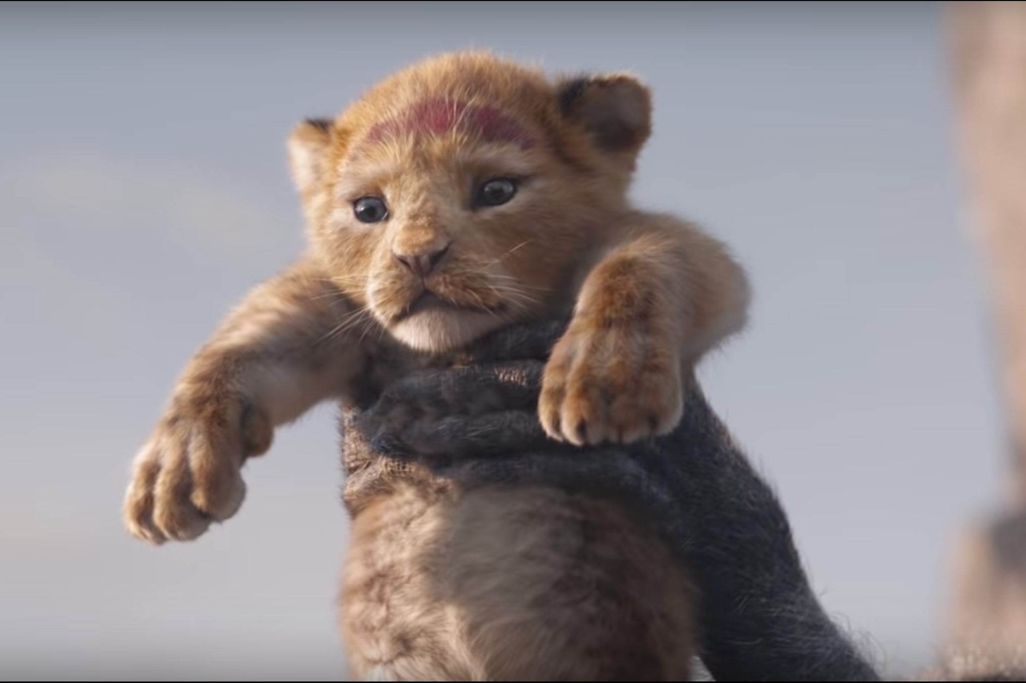 The Lion King Trailer Cast And Release Date Everything We Know About Disneys New Live 0726