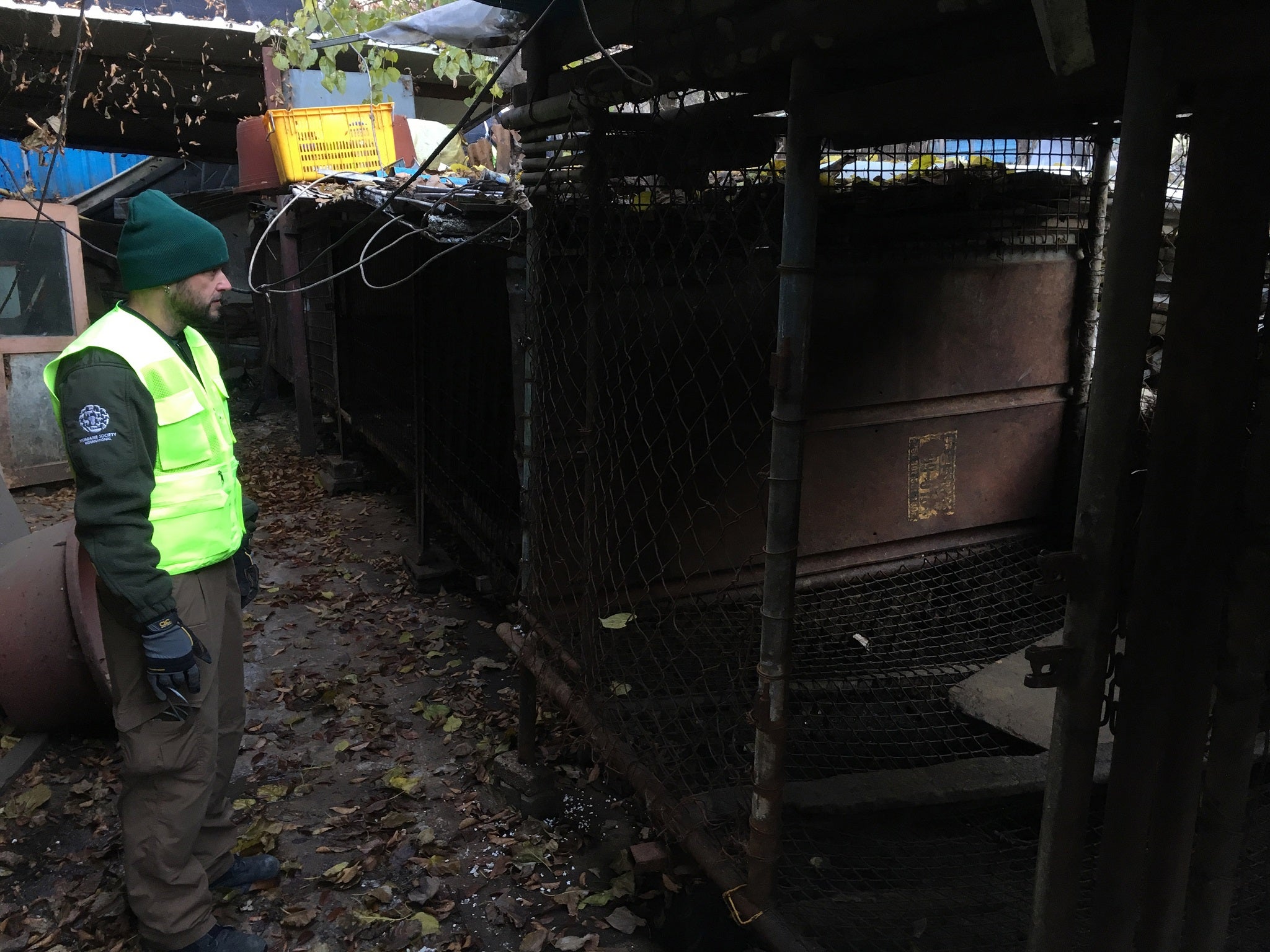 A photo taken on November 22, 2018 by US-based animal rights group Humane Society International shows the Taepyeong-dong dog slaughterhouse complex in Seongnam city, south of Seoul, being dismantled.